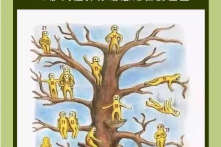 性格心理测试 你的性格为何