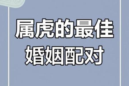 属虎人属相姻缘配对