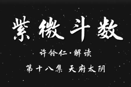 紫薇斗数天府男
