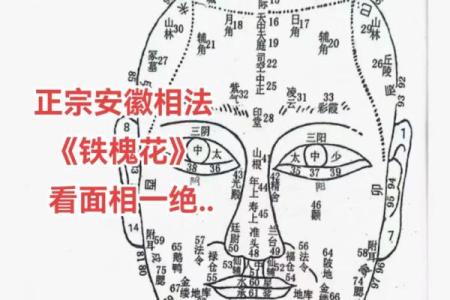 面相与风水的关系揭秘！