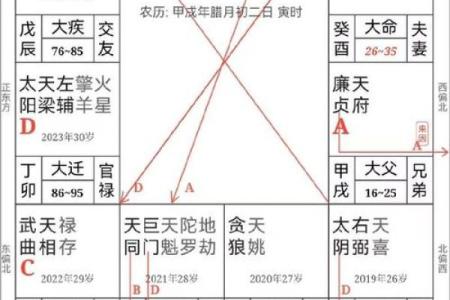 紫薇斗数全书架构