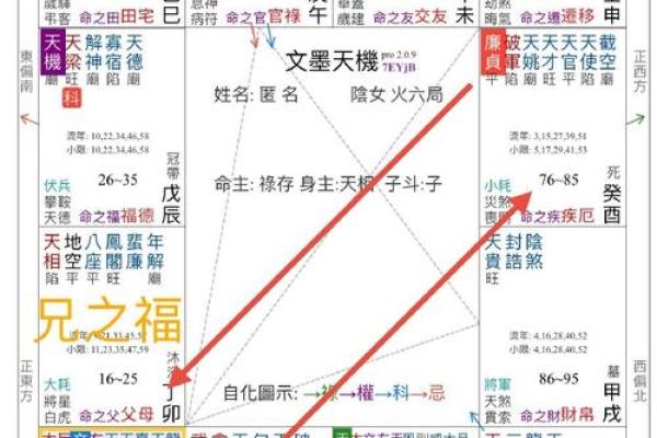紫微斗数之兄弟宫在寅宫，是什么意思？