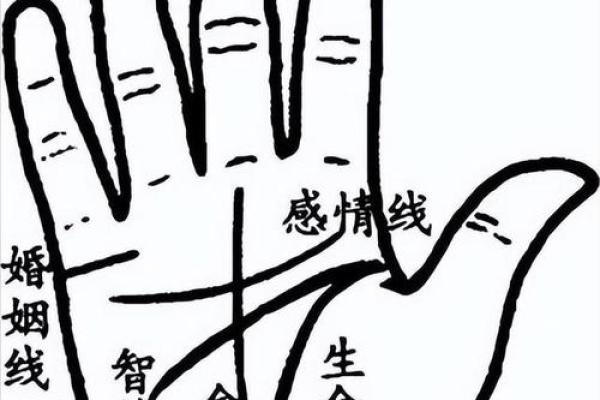 生命线算命：手掌上的玄机真能预测你的命运？