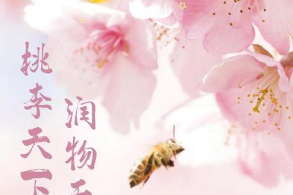 这几类家居风水，容易招野桃花