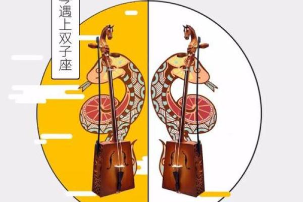 十二星座适合什么乐器请说出理由