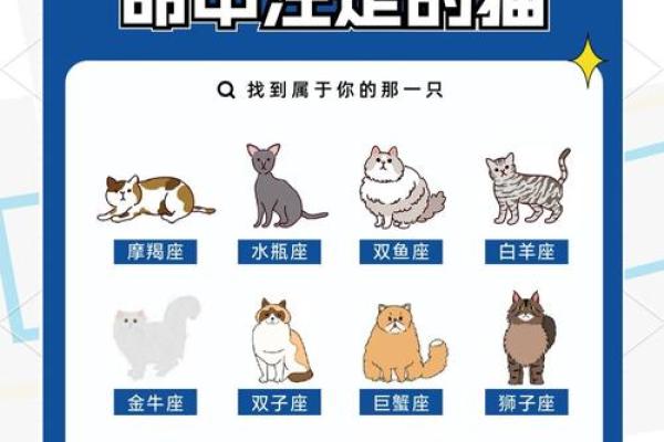 十二星座双子适合养猫狗嘛