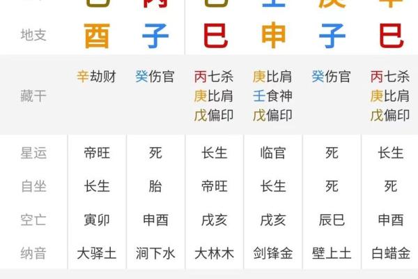 新派八字排盘软件下载