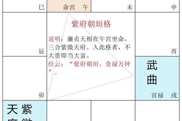 紫薇斗数夹辅
