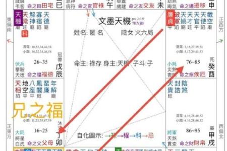 紫微斗数之兄弟宫在寅宫，是什么意思？