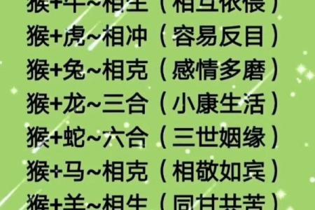 男猴女马生肖配对姻缘