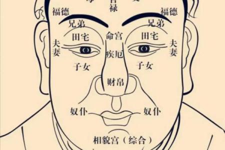 太乙神数紫薇斗数