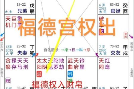 紫薇斗数夹辅
