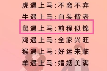 63年属什么生肖配对