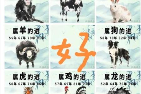 生肖配对猴和鸡相配吗
