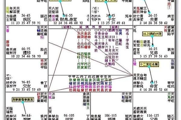 紫薇斗数术数