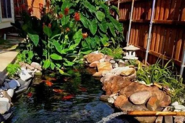 房子脚下建鱼池风水