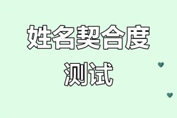 姓名契合度配对怎么进去 姓名契合度文案？