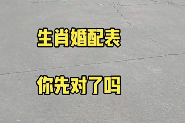 2001年属什么生肖几岁 婚配 多大 配对情况如何