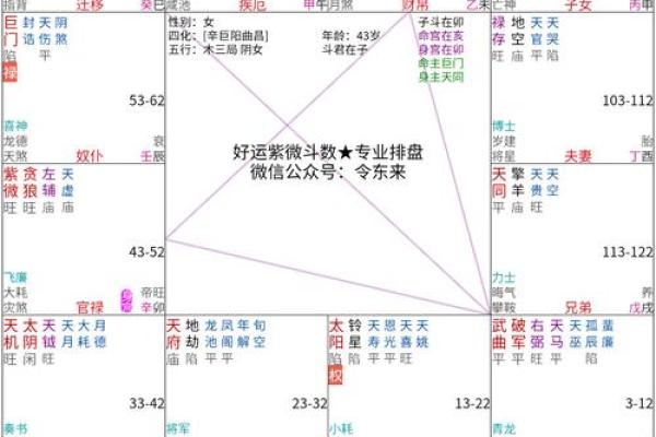 紫薇斗数看流年工作