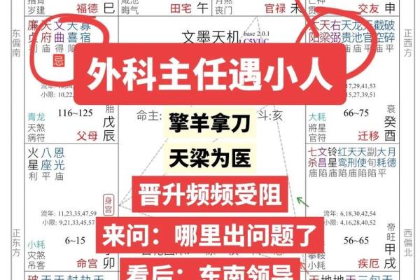 紫微斗数害人不浅