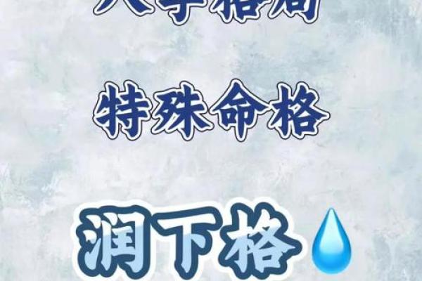 生辰八字之润下格,八字润下格什么意思