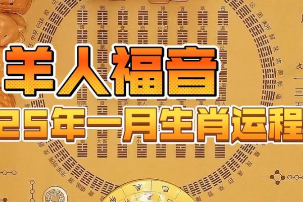 属羊的每个月星座运势如何
