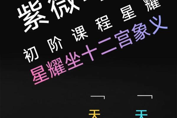 紫薇斗数怎么看主星