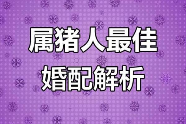 1983年属猪的婚配 1983年属猪的人应该和哪些生肖的人结婚配对