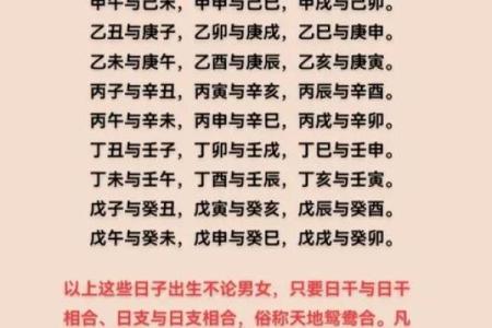 八字合婚5合什么意思呀