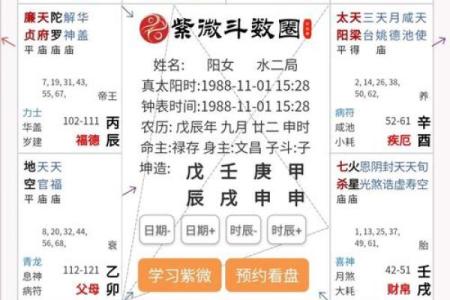紫薇斗数长生寓意