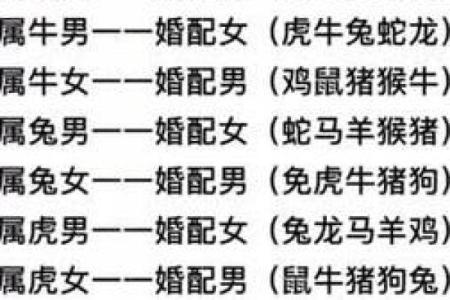 最佳的十二生肖婚姻配对大全