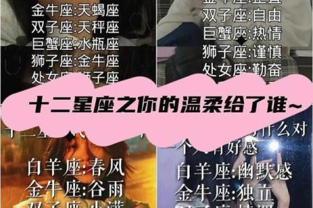 十二星座哪个生肖女最美丽