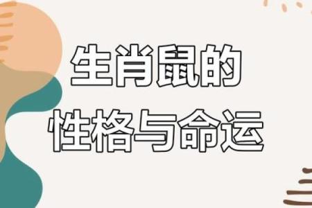 72年属什么生肖配对