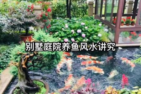 房子脚下建鱼池风水