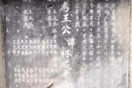 王健林祖坟风水图解