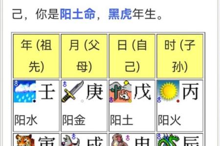 生辰八字起名软件