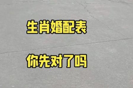 2001年属什么生肖几岁 婚配 多大 配对情况如何