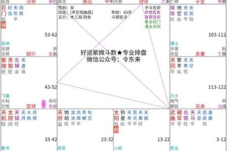 紫薇斗数看流年工作