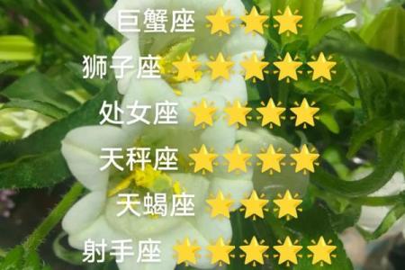 属羊的每个月星座运势如何