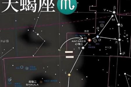 哪个星座对神秘的宇宙最感兴趣呢