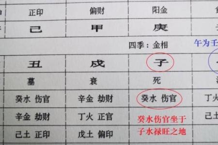 无伤官的女命八字特征