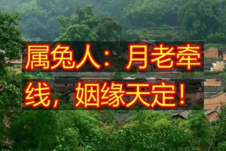月老没拴姻缘线 月老没有给牵姻缘线？