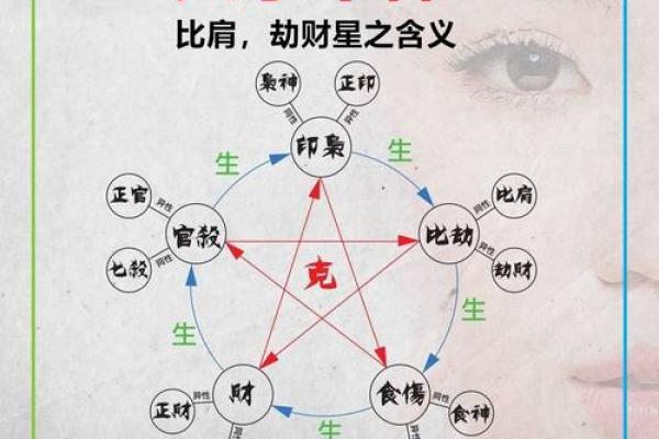 八字比肩的查法