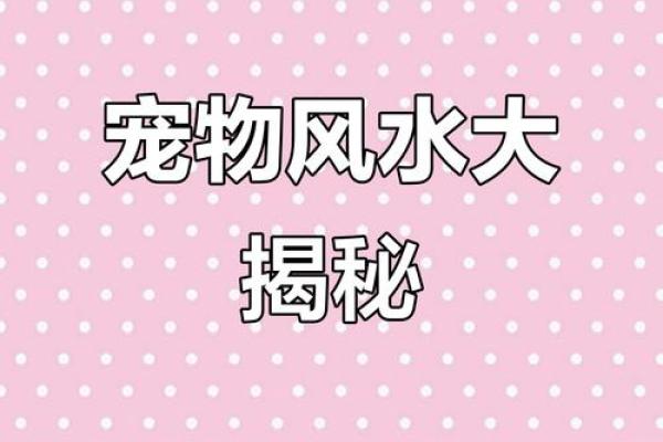 风水：家中这方位不宜安置宠物