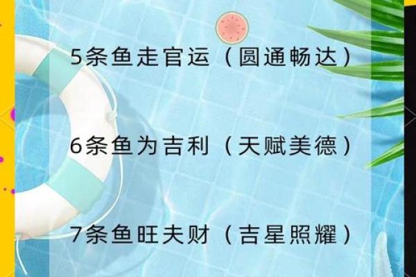 我是做生意的.怎样养风水鱼？