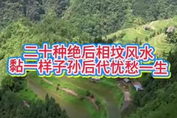 子孙后代风水