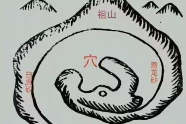 子孙后代风水