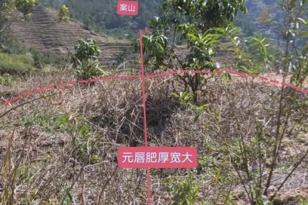 风水地理_风水宝地是成语吗 风水地理_风水宝地是成语吗