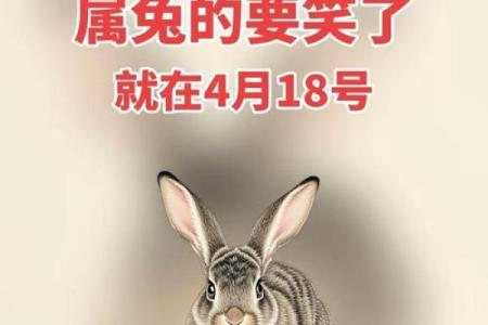 85年属什么的生肖性格 85年属什么的生肖配对兔