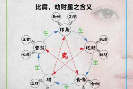 八字比肩的查法